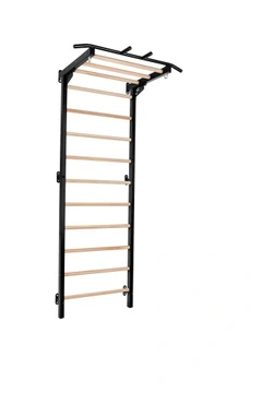 Gymnastický tréninkový žebřík HOME gym Basic - černá